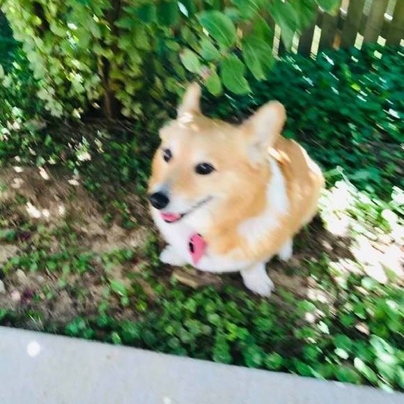 janetdcloud